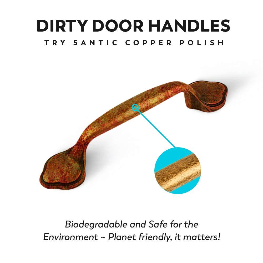 1309 All Metal Cleaner For Polisher Protectant Cleaner