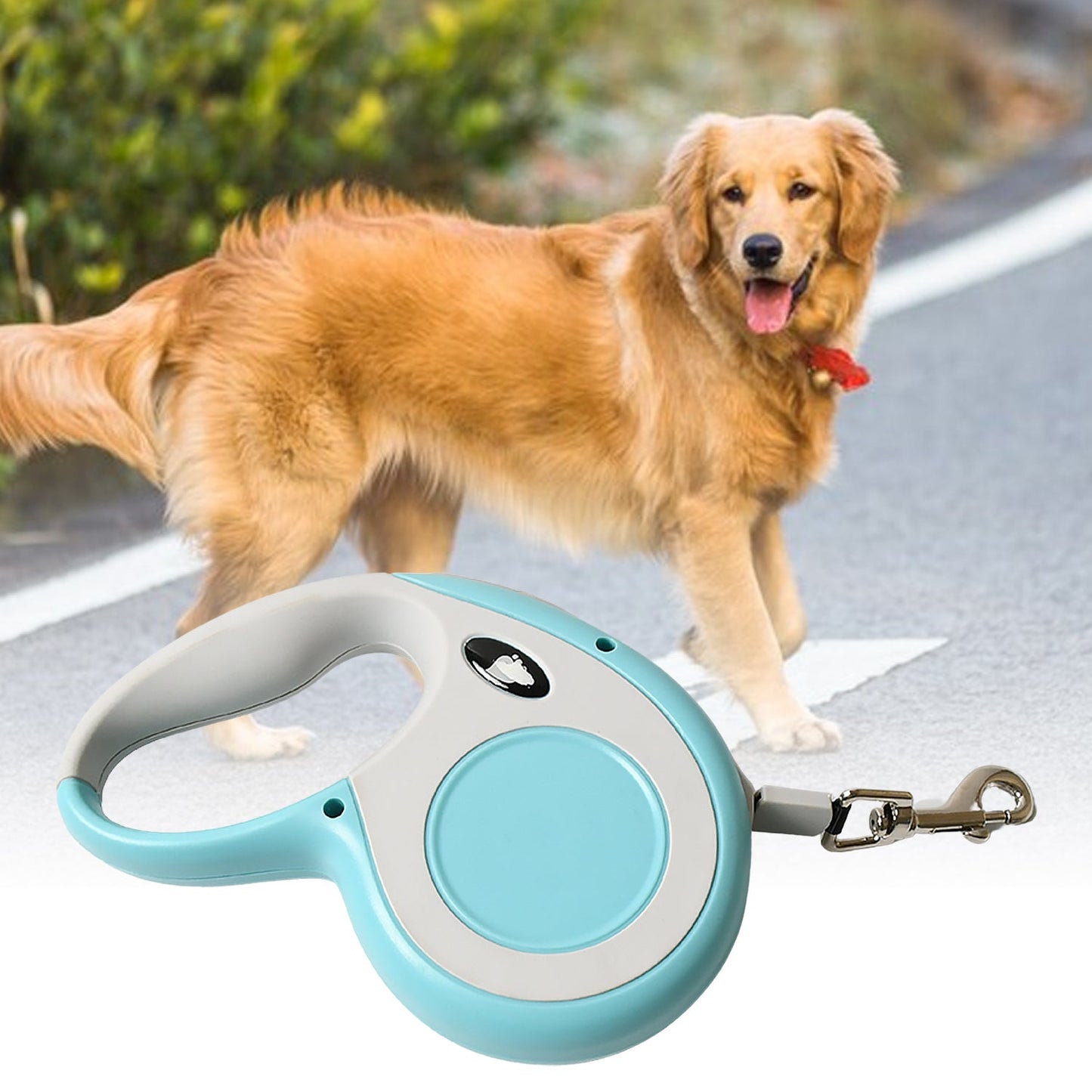Retractable Dog Leash, Pet Walking Leash with Anti-Slip Handle, Strong Nylon Tape, Tangle-Free, One-Handed One Button Lock & Release, Suitable for Small / Medium Dog Or Cat, 16.5 ft (5 m)Ã‚Â 