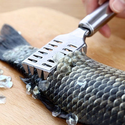 Stainless Steel Fish Scale Remover Scraper Ã¢â‚¬â€œ Sawtooth Kitchen Tool