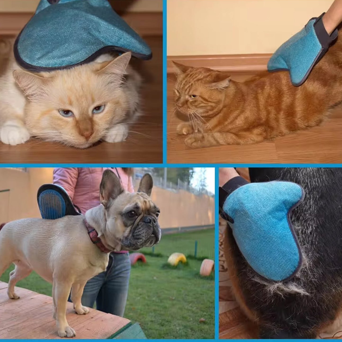 Pet Grooming Glove Ã¢â‚¬â€œ Humanized Descending Brush (1 Pc)