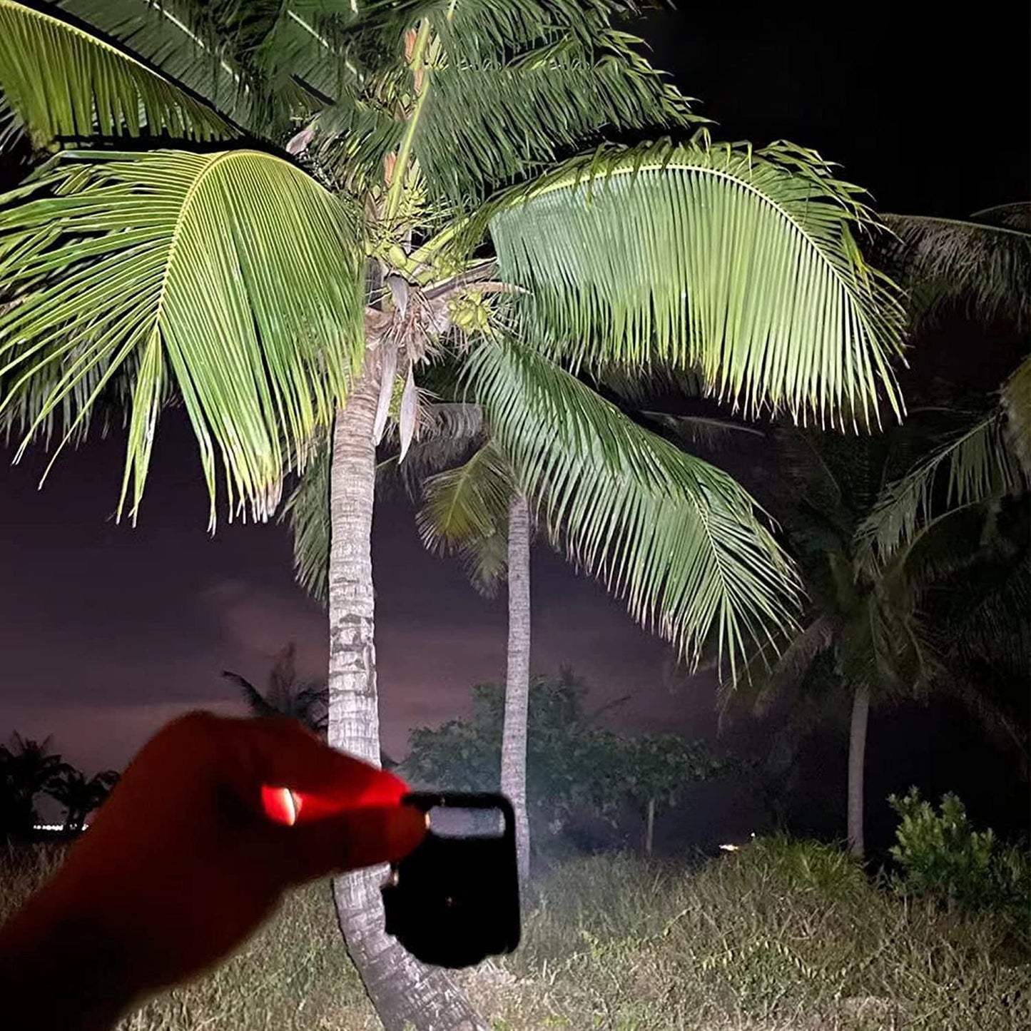 LED Battery Operated Keychain Flashlight withÃ‚Â Folding Bracket Bottle Opener (1 Pc)