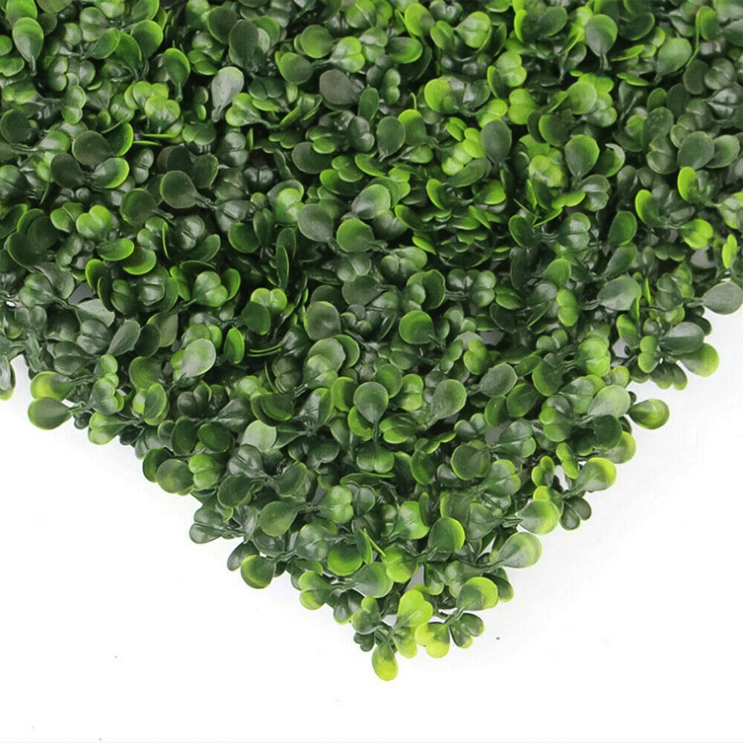 Plastic Wall Artificial Plant Base (60Ãƒâ€”40 CM / 1 Pc)