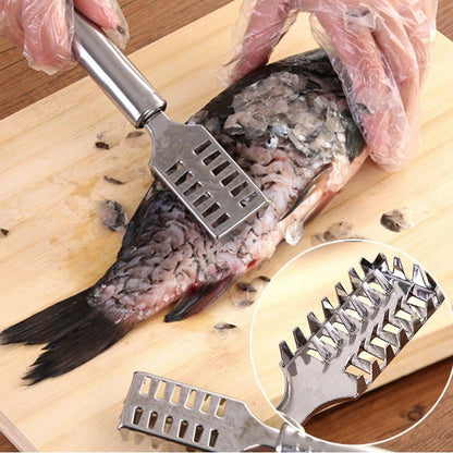 Stainless Steel Fish Scale Remover Scraper Ã¢â‚¬â€œ Sawtooth Kitchen Tool