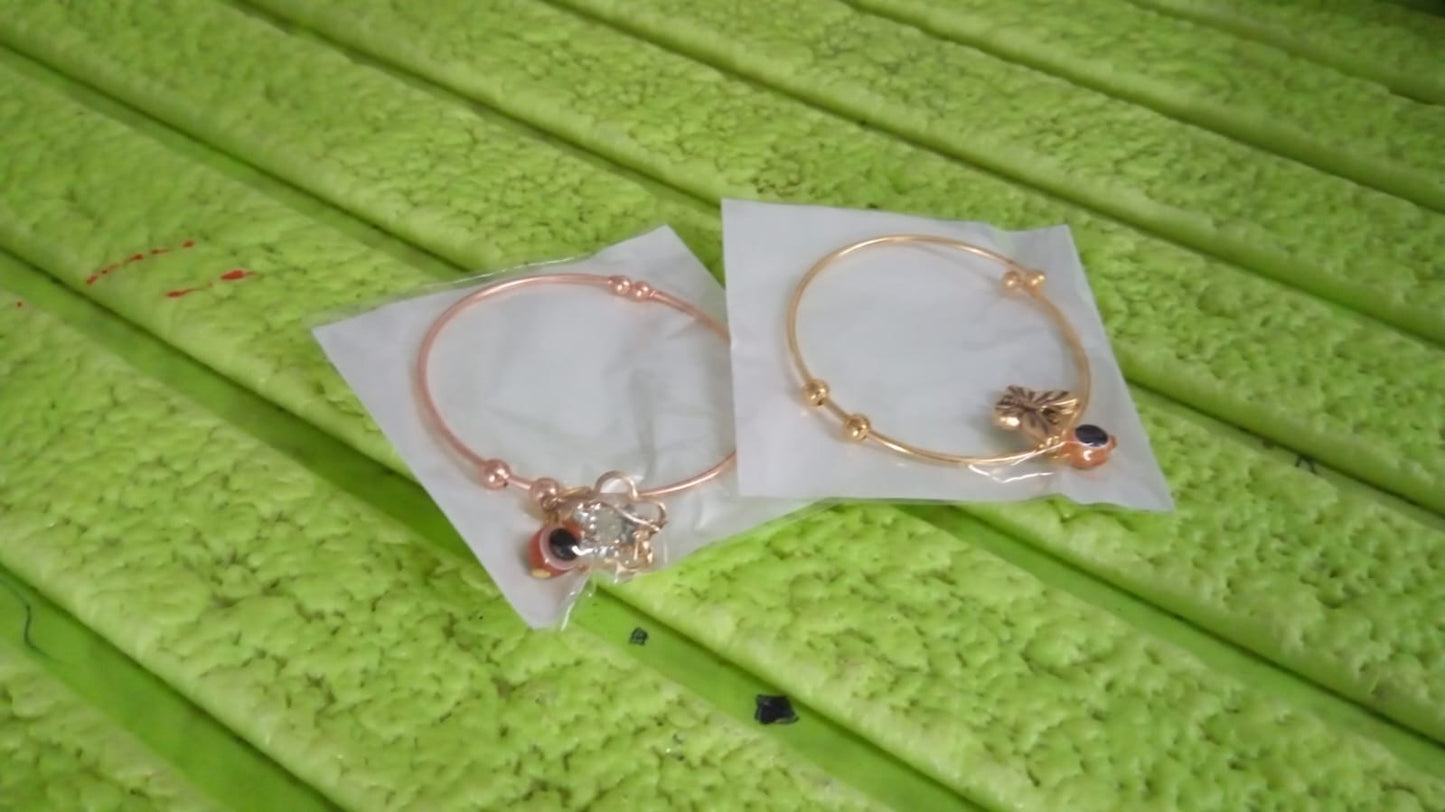 Charm Bracelet, Kada Bracelet (2 Pc / Mix design)