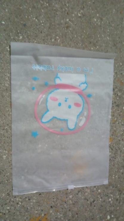 Reusable Multipurpose Pouch (2 Pc / 28Ãƒâ€”20 CM)