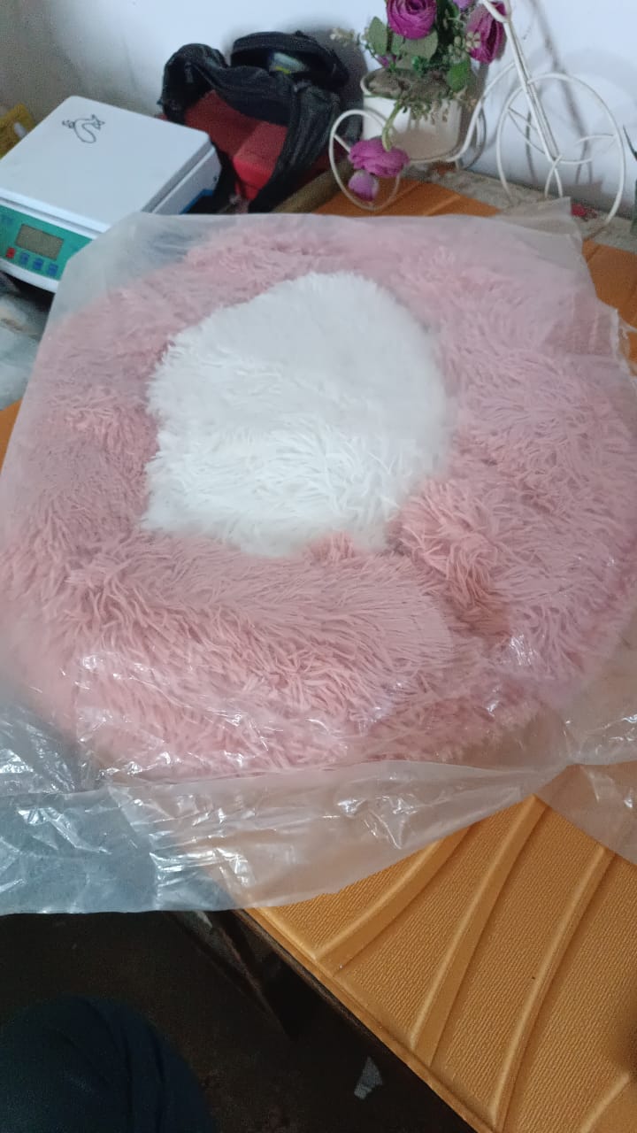 Indoor Dog Bed for Cats (33Ãƒâ€”33Ãƒâ€”10 Cm / Small)