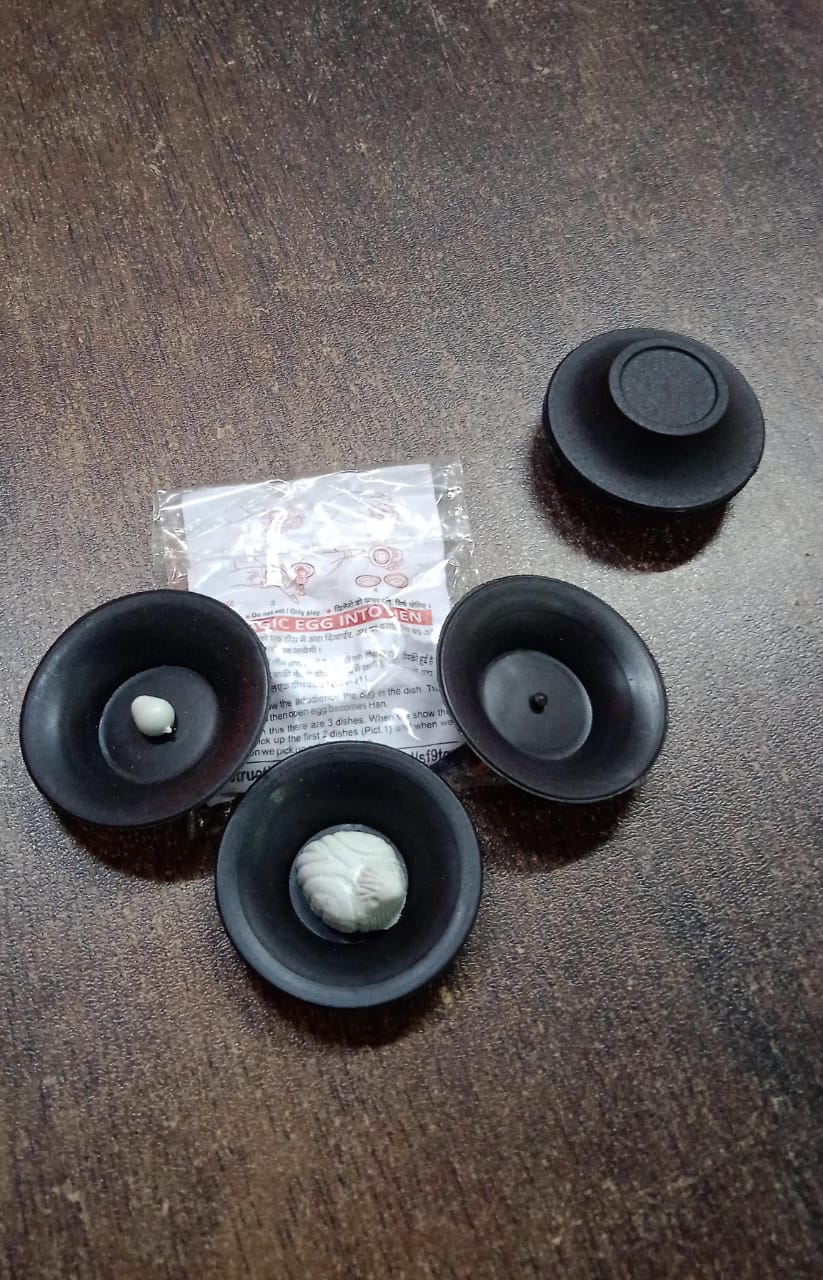 Small Magic Egg to  Hen / Chicken Toy (8 Pc / Mix Color & Design)